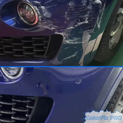 Penna Antigraffio ColorFix™ PRO